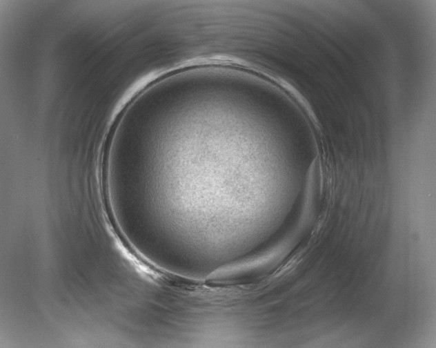 X0000080791054200612151450