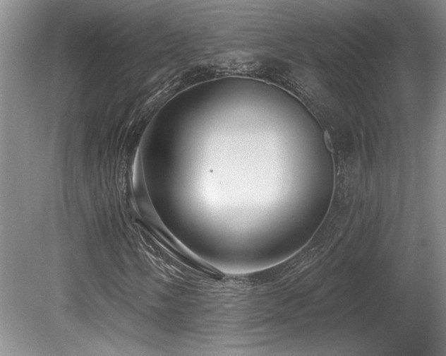 X0000080791058200612151449