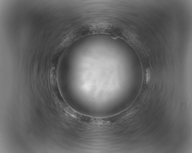 X0000080791059200612151449
