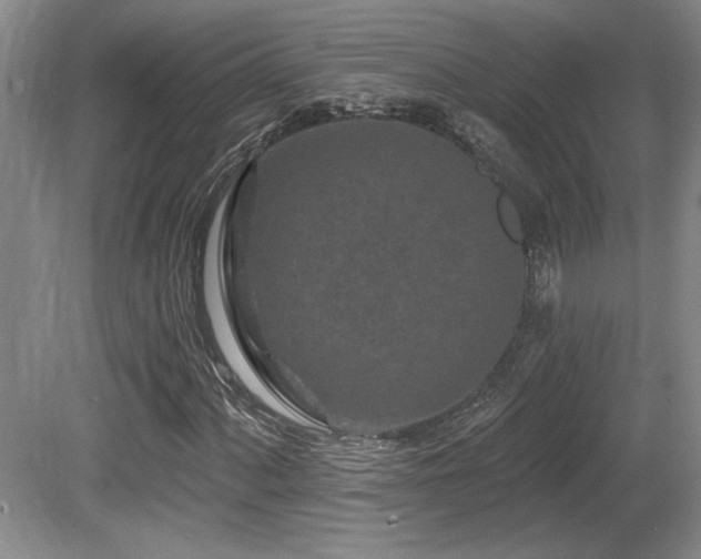 X0000080791060200612151449