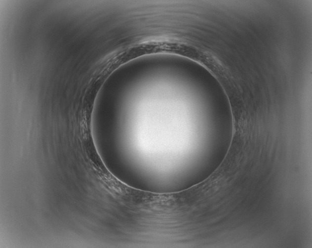 X0000080791062200612151449