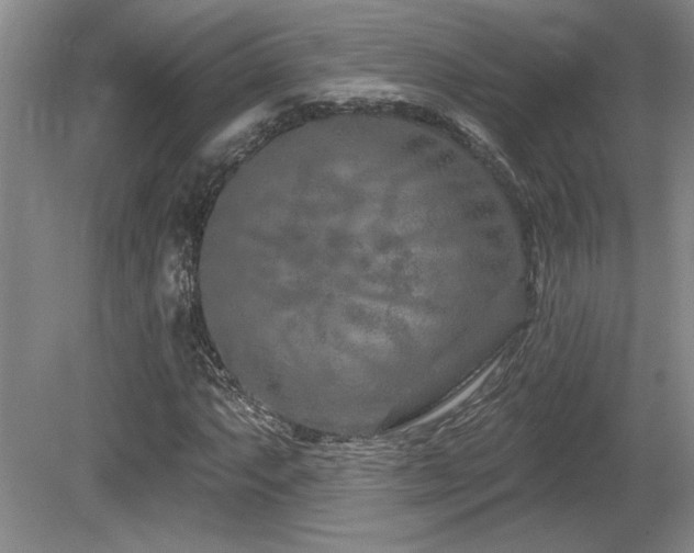 X0000080791063200612151449