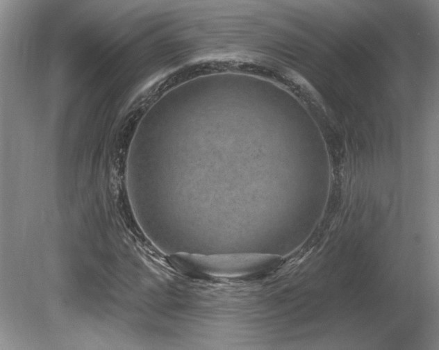 X0000080791064200612151449