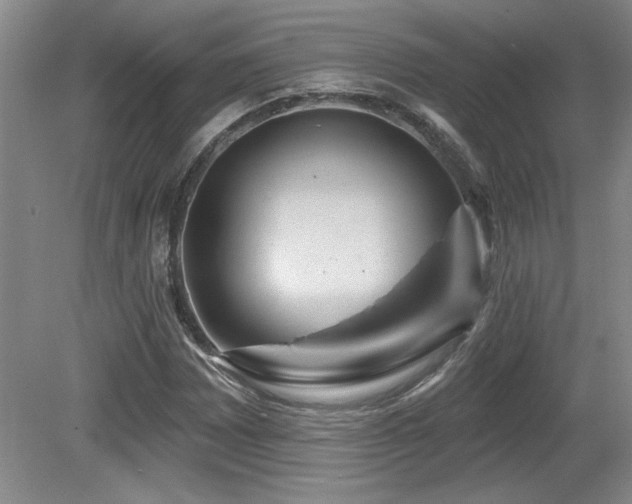 X0000080791065200612151449