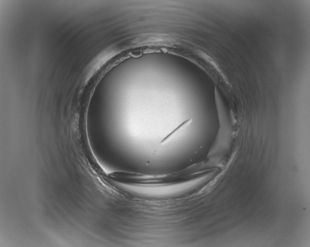 X0000080791066200612151449