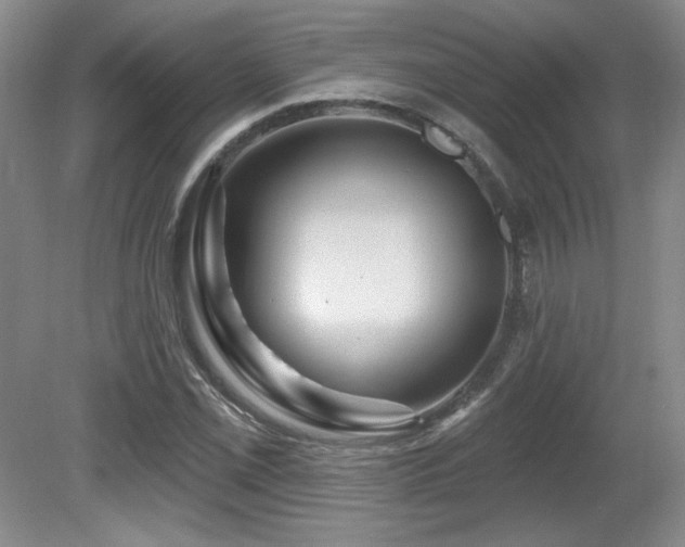 X0000080791069200612151449