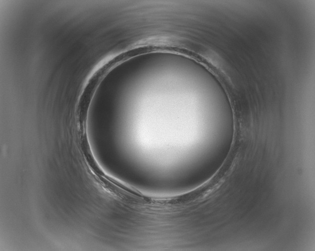 X0000080791070200612151449