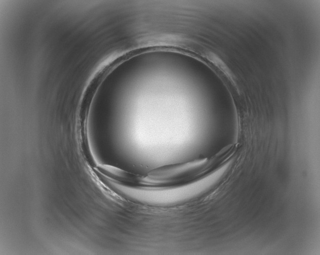X0000080791072200612151449