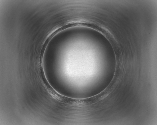 X0000080791073200612151449