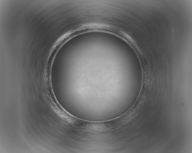X0000080791074200612151449