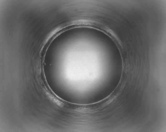 X0000080791075200612151449