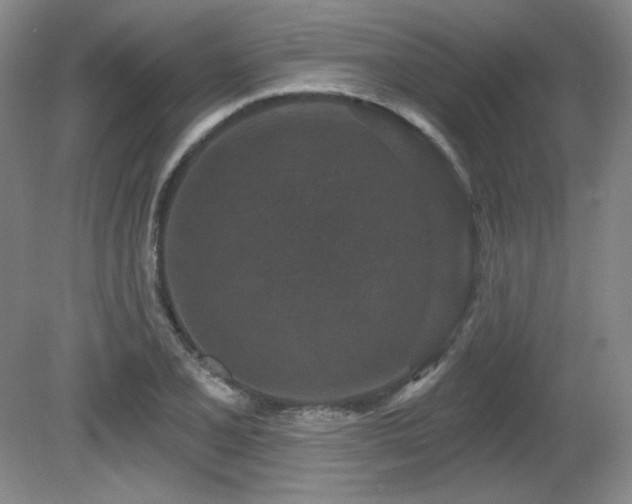 X0000080791077200612151449