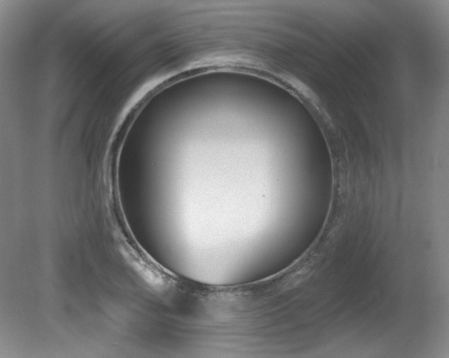 X0000080791078200612151449