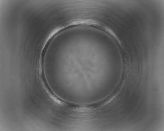 X0000080791079200612151449