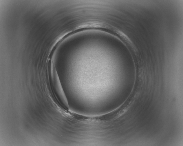 X0000080791081200612151448