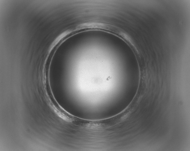 X0000080791082200612151448