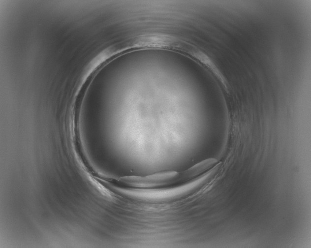 X0000080791083200612151448