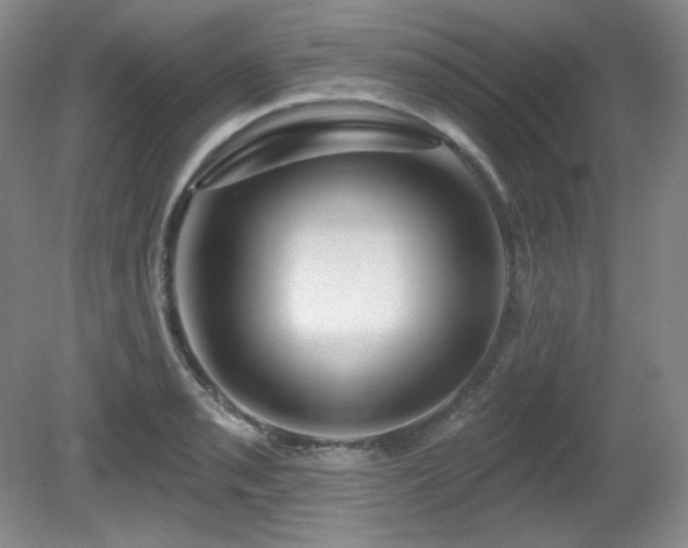 X0000080791085200612151448