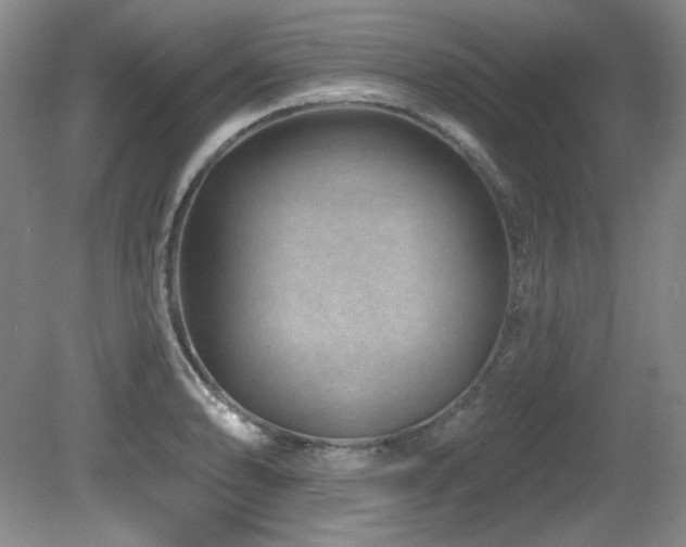 X0000080791086200612151448
