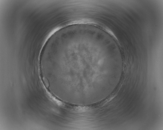 X0000080791087200612151448
