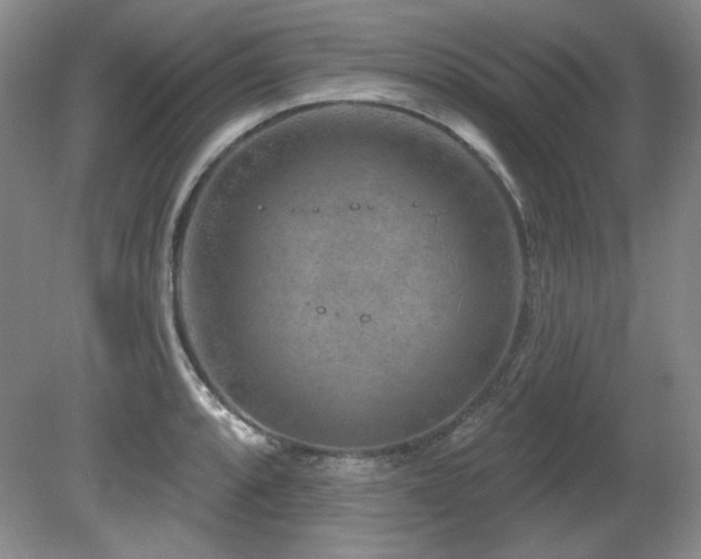X0000080791088200612151448