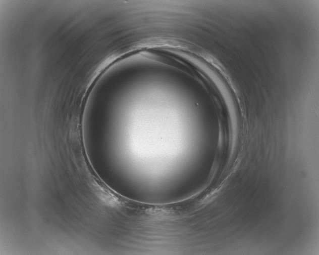 X0000080791089200612151448