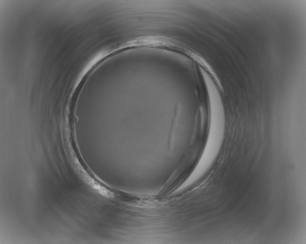 X0000080791091200612151448