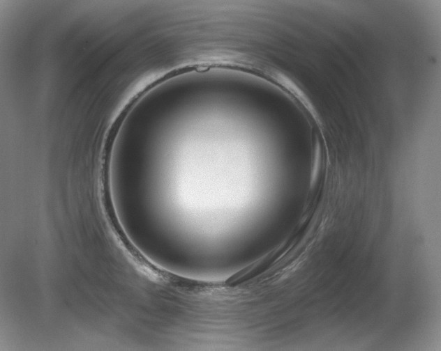 X0000080791093200612151448