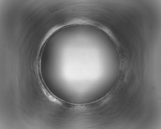 X0000080791094200612151448