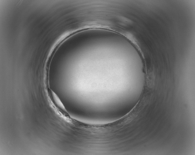 X0000080791096200612151448