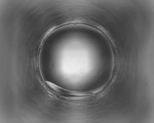 X0000080791097200612151448