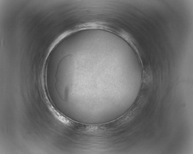 X0000080791098200612151448