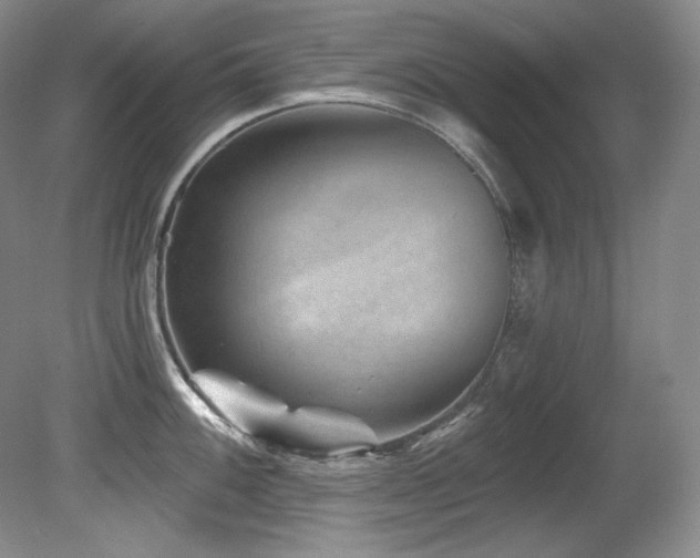 X0000080791100200612151448