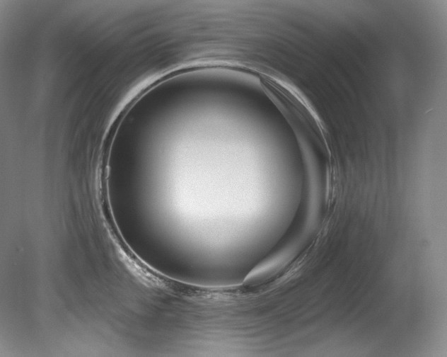 X0000080791101200612151448