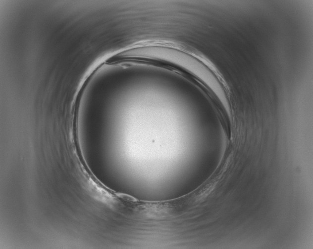 X0000080791102200612151448