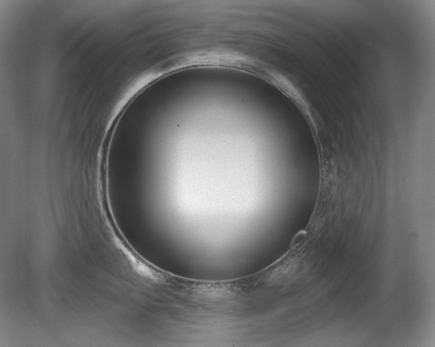 X0000080791103200612151448