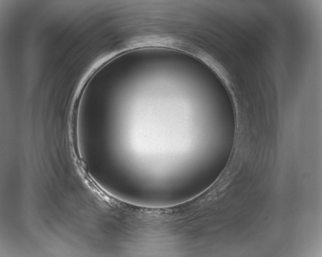 X0000080791104200612151448