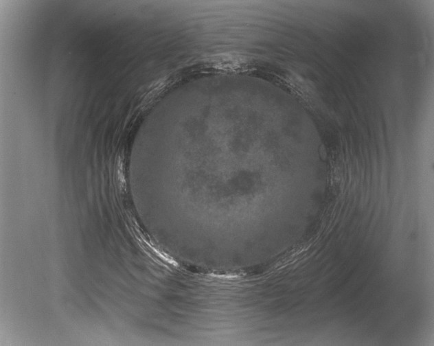 X0000080791106200612151447