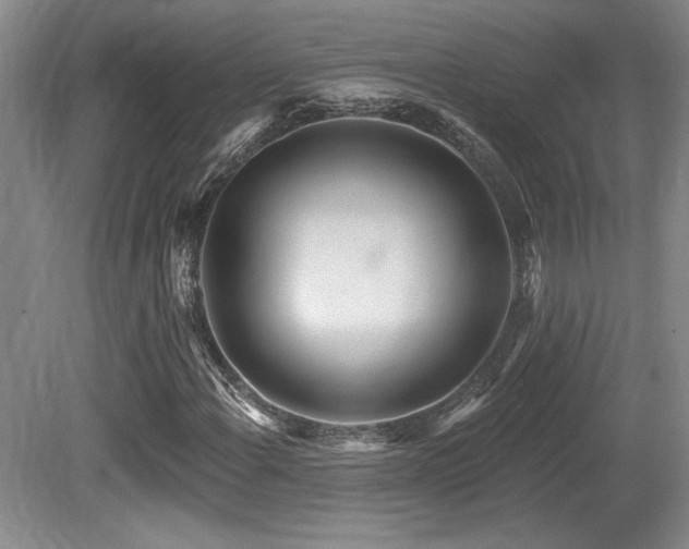 X0000080791108200612151447
