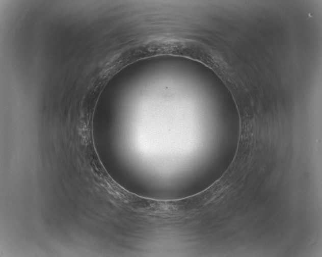 X0000080791109200612151447