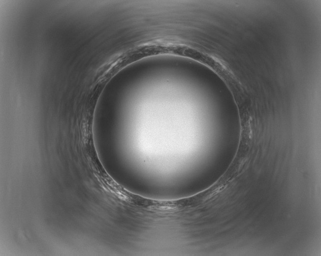 X0000080791110200612151447