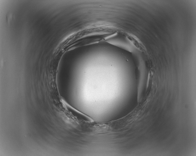 X0000080791112200612151447