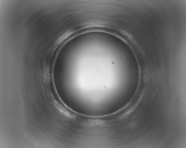 X0000080791113200612151447