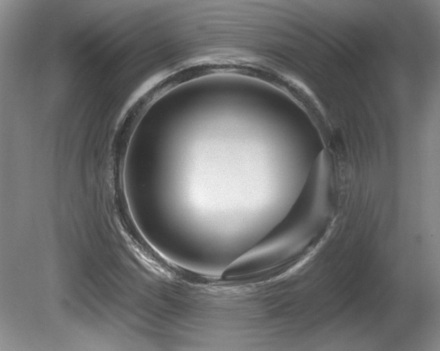X0000080791114200612151447