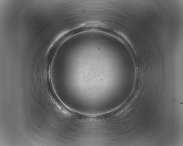 X0000080791115200612151447