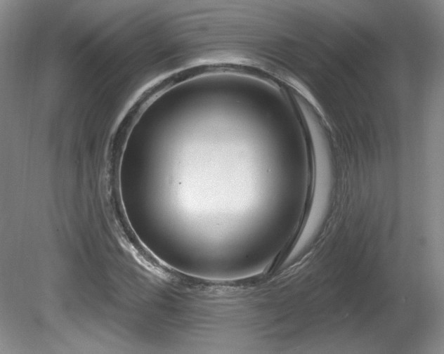 X0000080791116200612151447