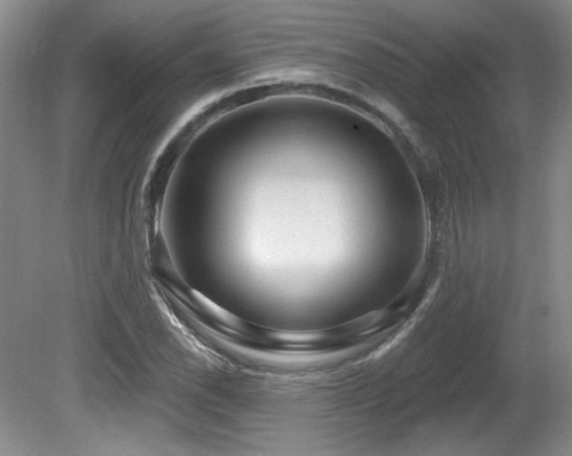 X0000080791118200612151447