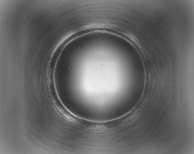 X0000080791119200612151448