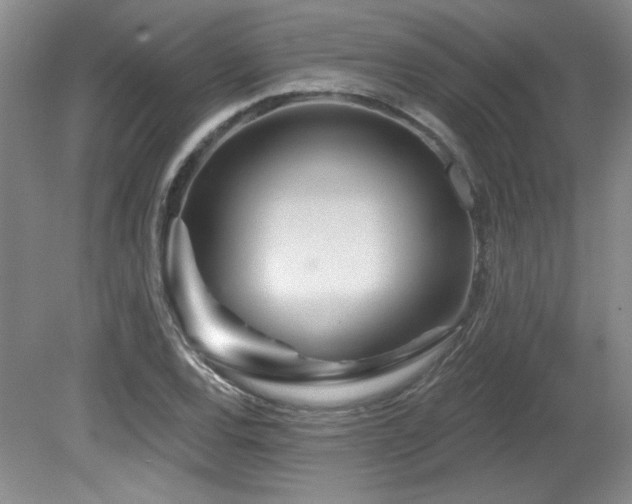 X0000080791120200612151448
