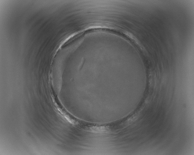X0000080791121200612151448